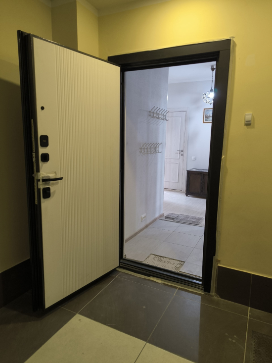 Фото входной двери №13